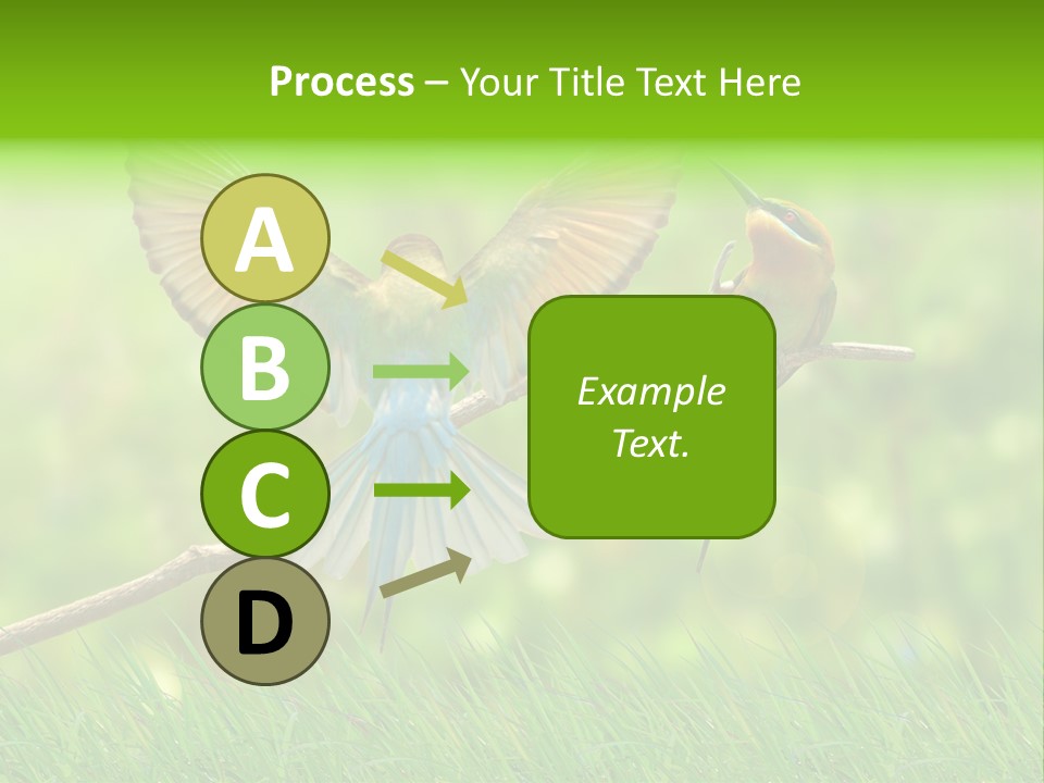 Yellow Wild Image PowerPoint Template