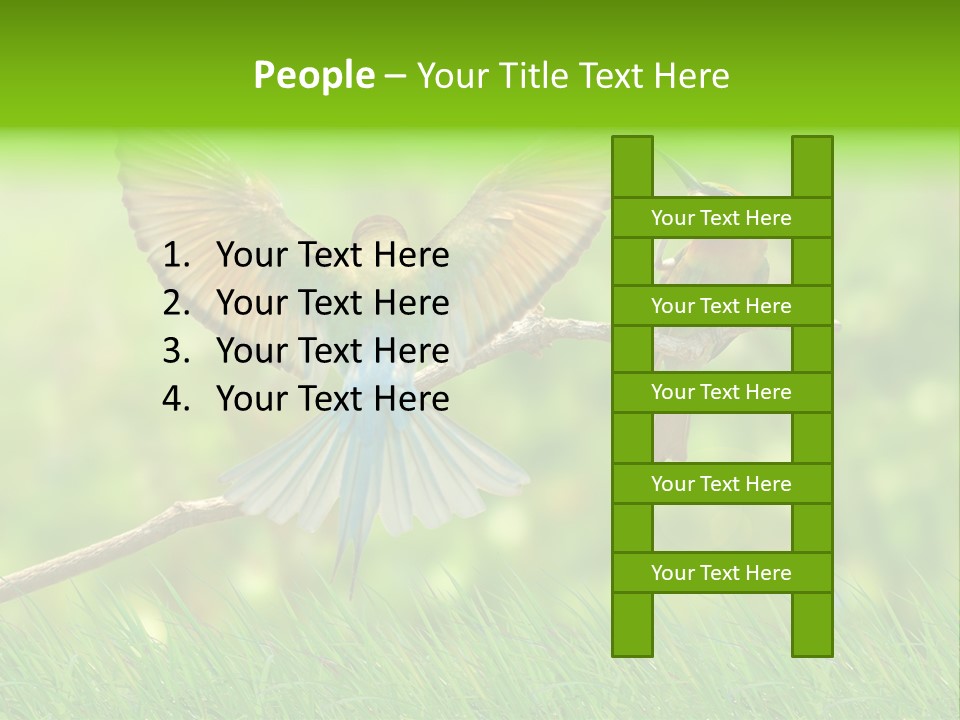 Yellow Wild Image PowerPoint Template