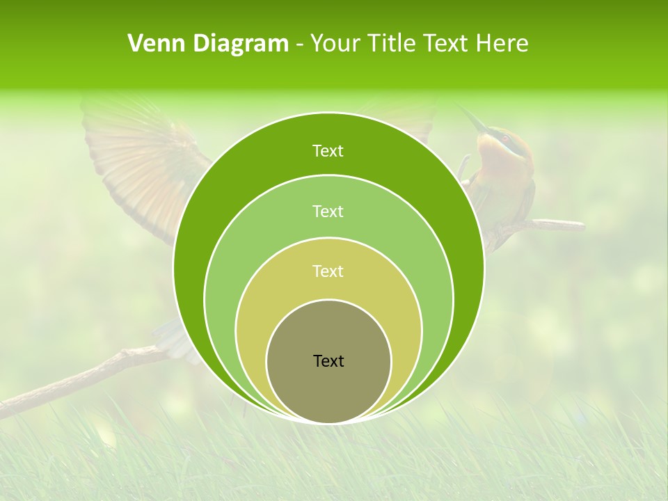 Yellow Wild Image PowerPoint Template