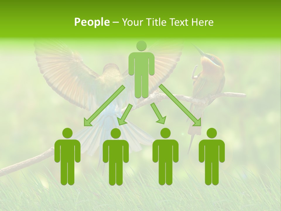 Yellow Wild Image PowerPoint Template