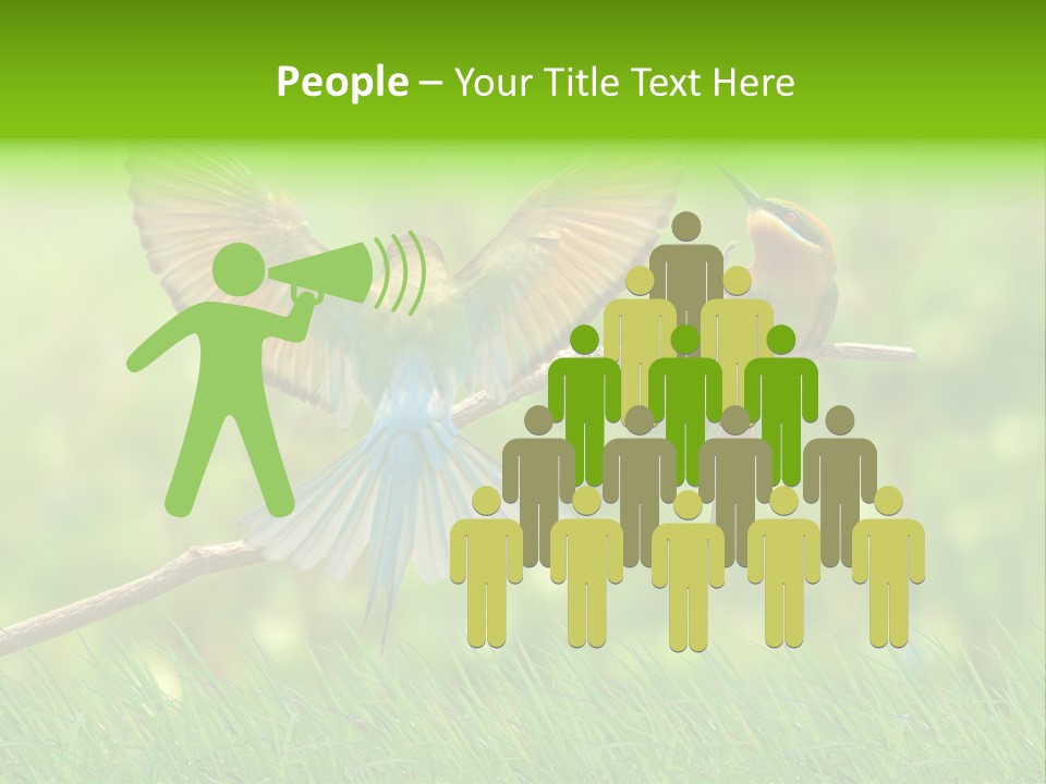 Yellow Wild Image PowerPoint Template