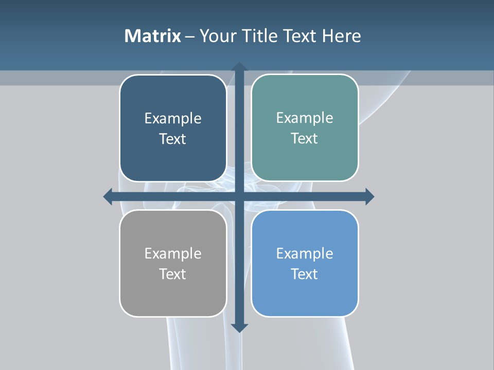 Osteoporosis Biology Backache PowerPoint Template