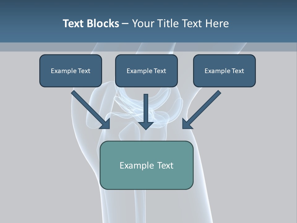 Osteoporosis Biology Backache PowerPoint Template