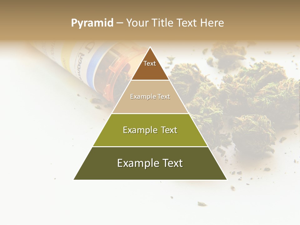 On White Thc Purple Kush PowerPoint Template