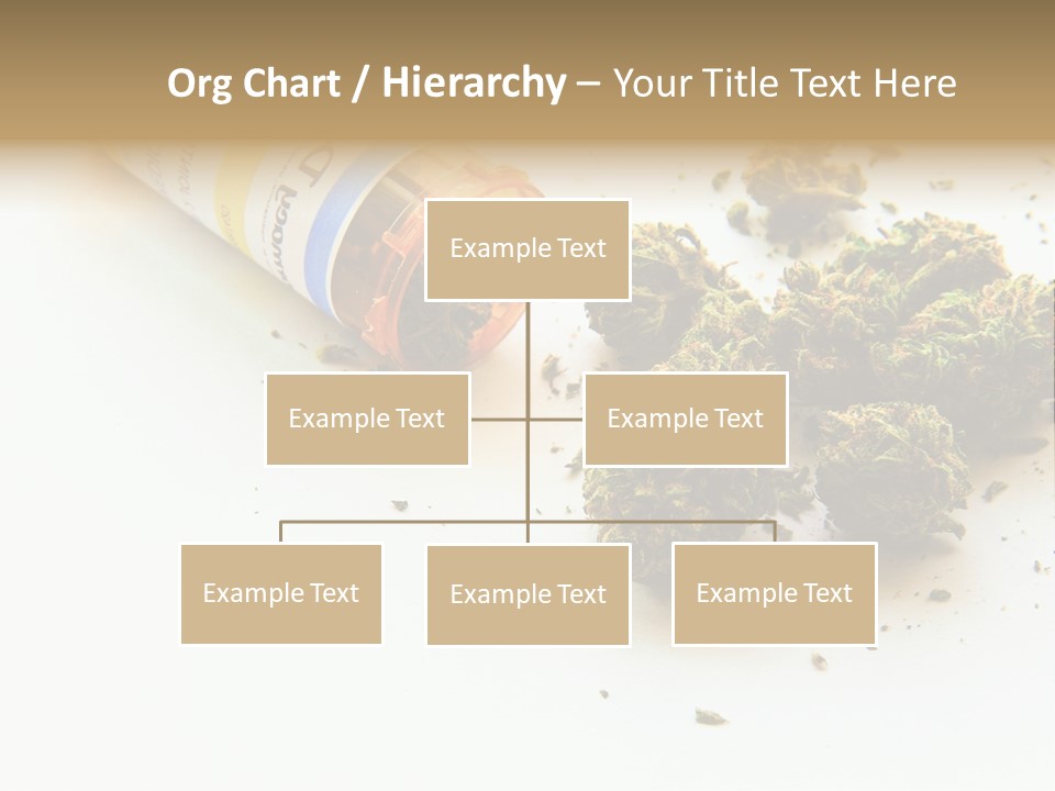 On White Thc Purple Kush PowerPoint Template