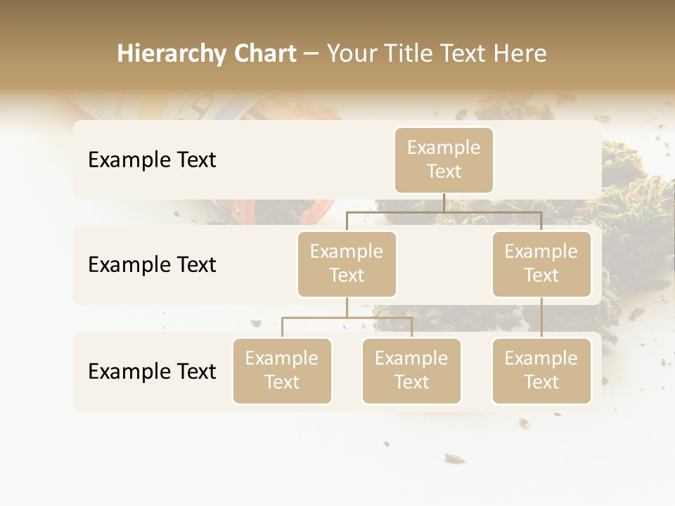 On White Thc Purple Kush PowerPoint Template