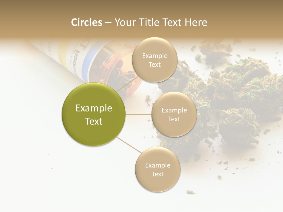 On White Thc Purple Kush PowerPoint Template