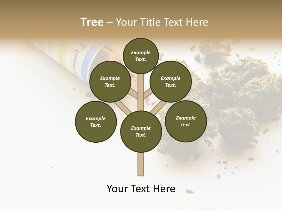 On White Thc Purple Kush PowerPoint Template