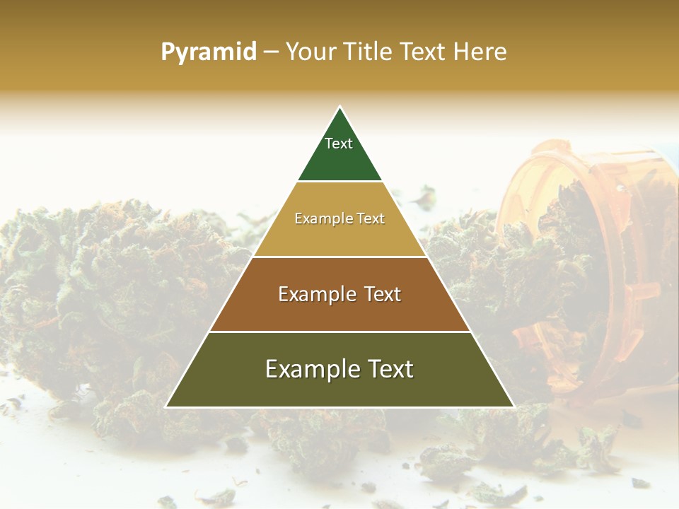 Stash Psychoactive Medicinal PowerPoint Template