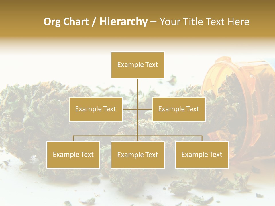 Stash Psychoactive Medicinal PowerPoint Template
