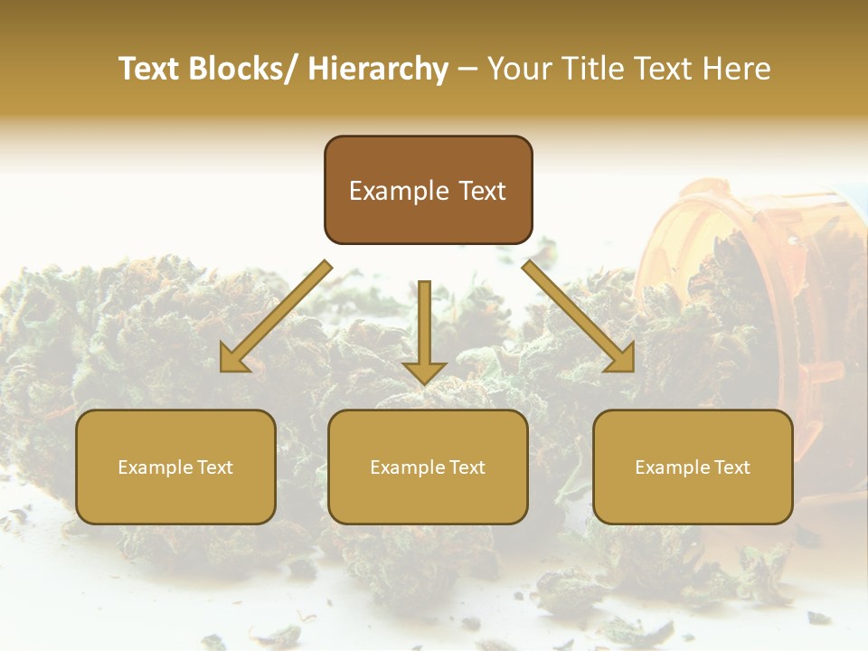 Stash Psychoactive Medicinal PowerPoint Template
