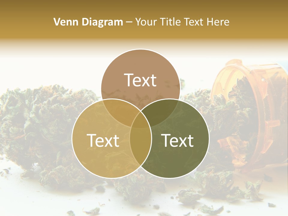 Stash Psychoactive Medicinal PowerPoint Template