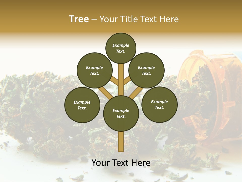 Stash Psychoactive Medicinal PowerPoint Template