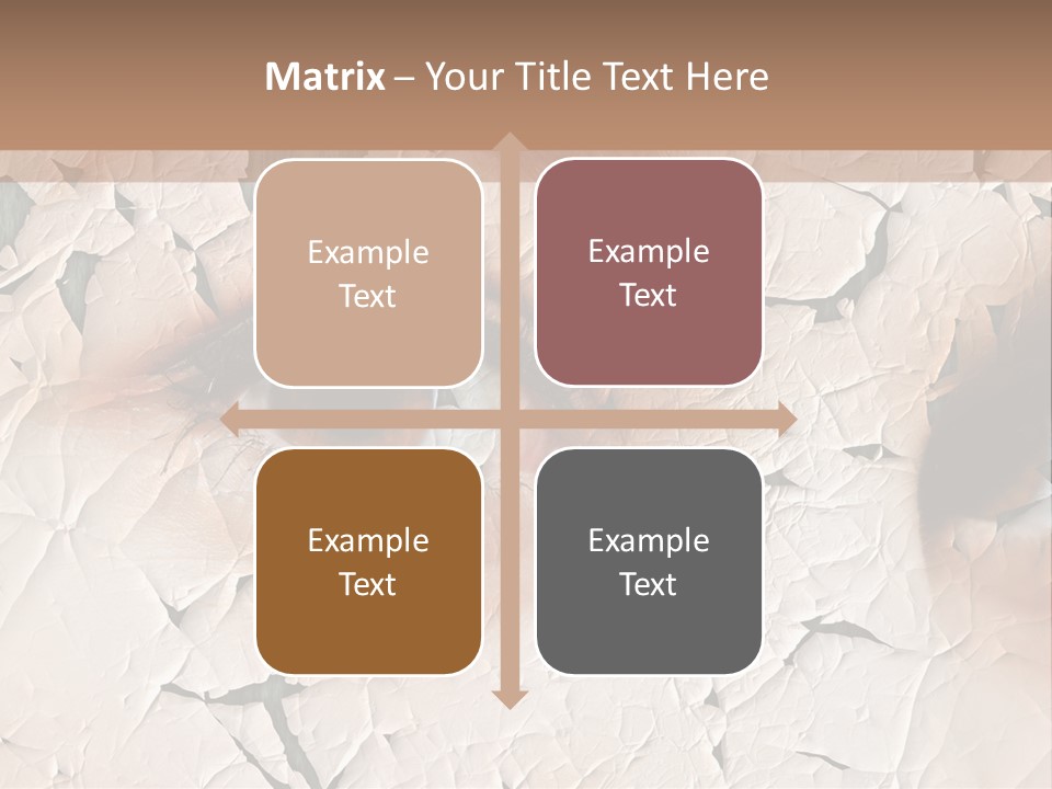Female Pharmacy Precaution PowerPoint Template