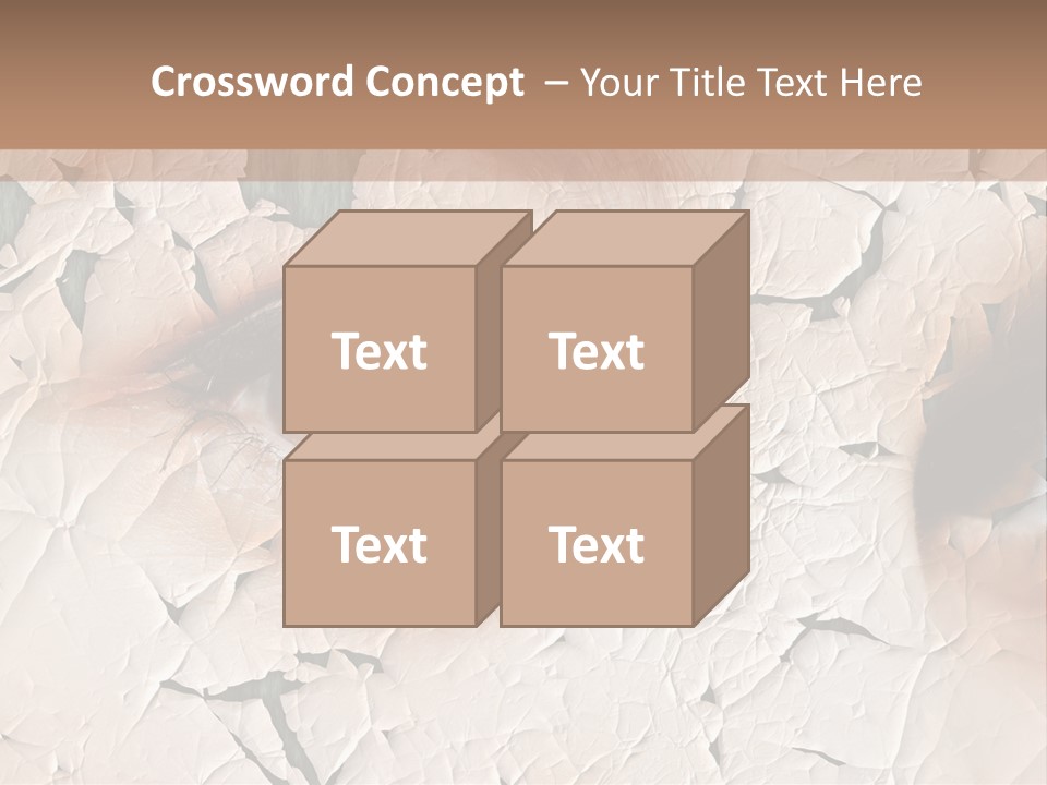Female Pharmacy Precaution PowerPoint Template