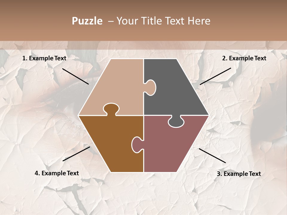 Female Pharmacy Precaution PowerPoint Template