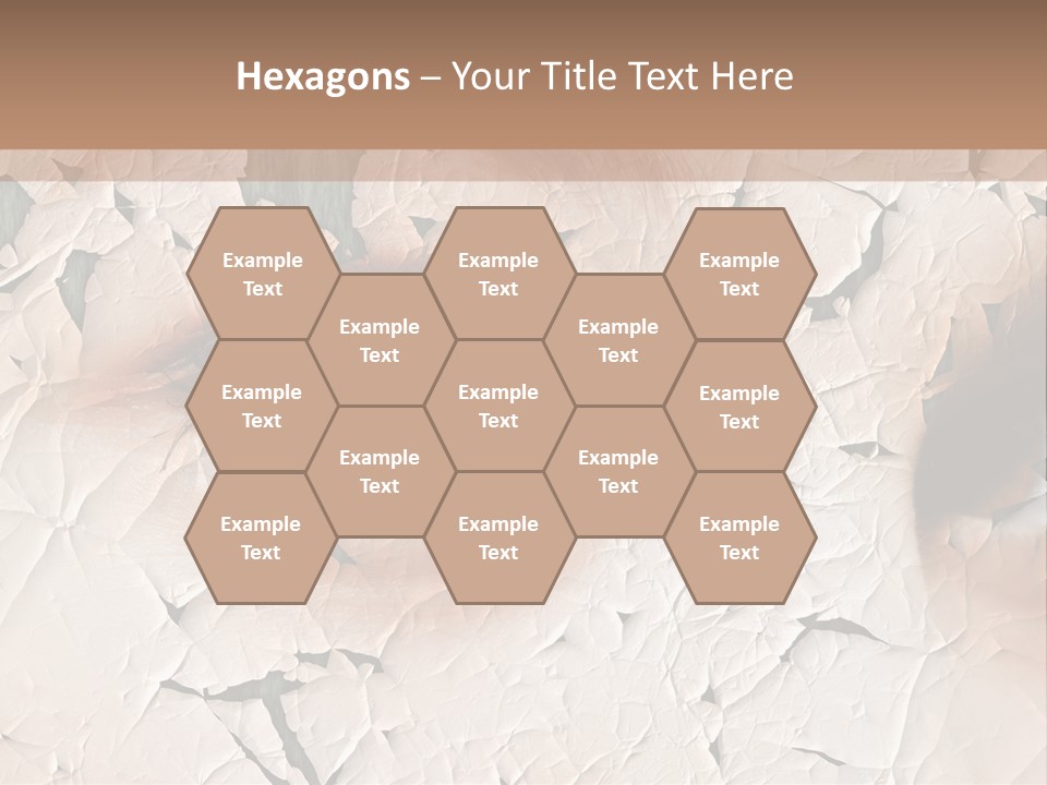 Female Pharmacy Precaution PowerPoint Template