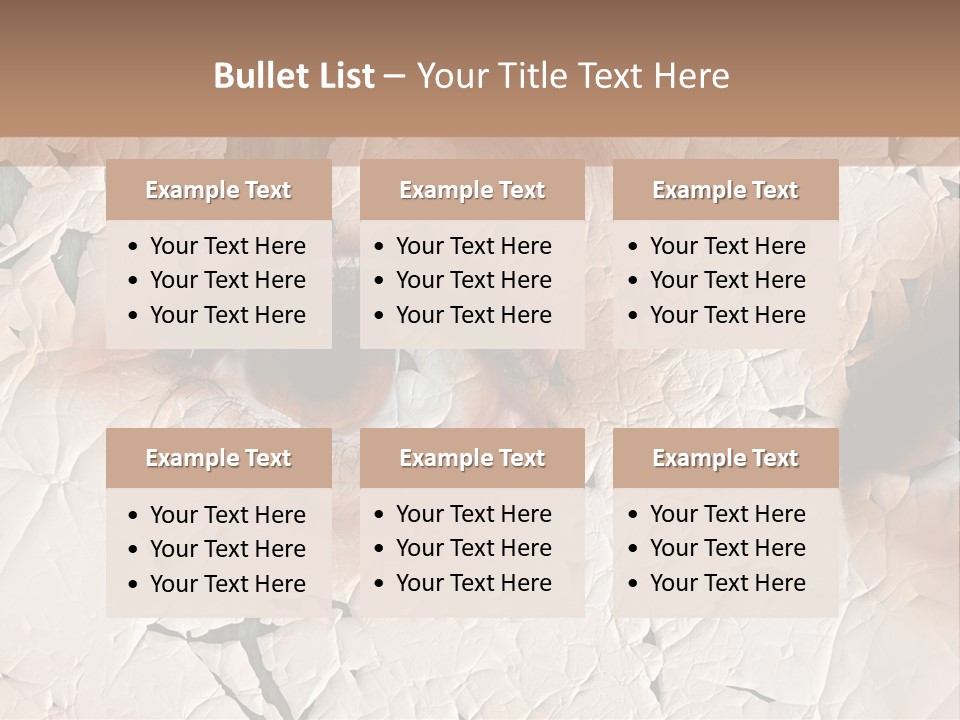 Female Pharmacy Precaution PowerPoint Template