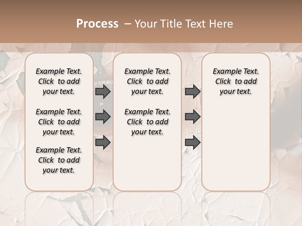 Female Pharmacy Precaution PowerPoint Template
