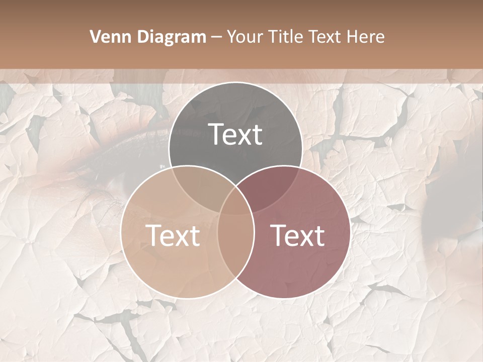 Female Pharmacy Precaution PowerPoint Template