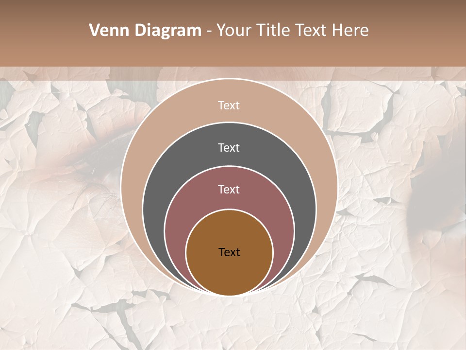 Female Pharmacy Precaution PowerPoint Template
