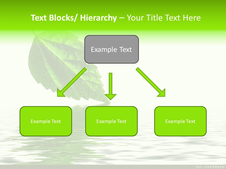 Senior Window Grandmother PowerPoint Template
