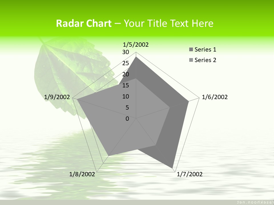 Senior Window Grandmother PowerPoint Template
