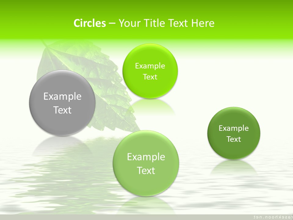 Senior Window Grandmother PowerPoint Template