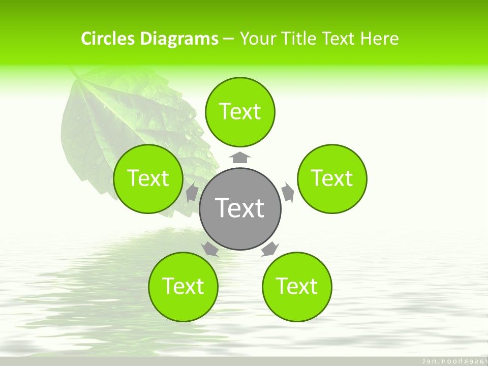 Senior Window Grandmother PowerPoint Template