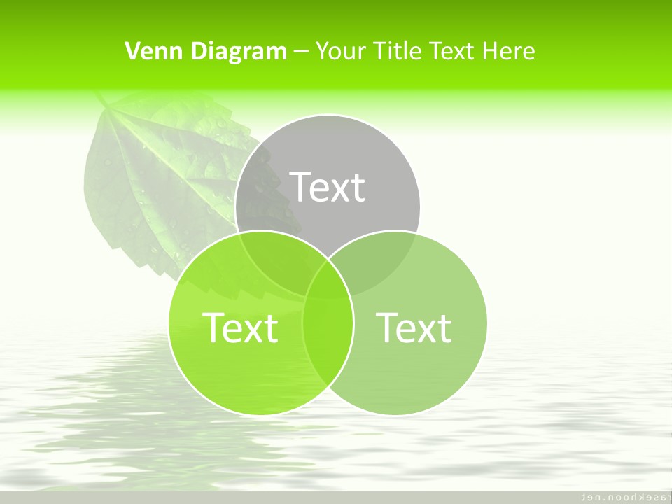 Senior Window Grandmother PowerPoint Template