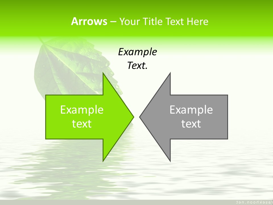 Senior Window Grandmother PowerPoint Template