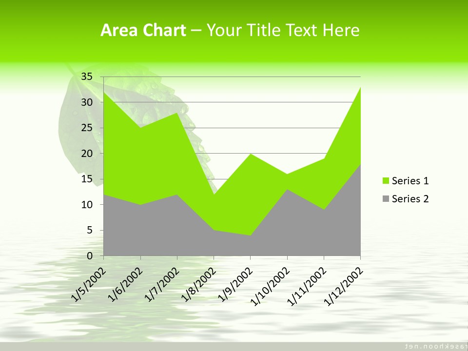 Senior Window Grandmother PowerPoint Template