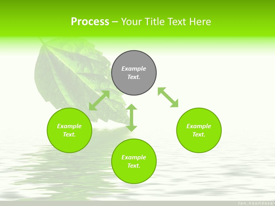 Senior Window Grandmother PowerPoint Template