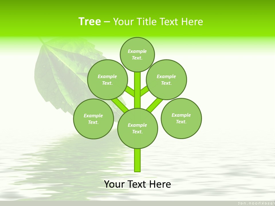 Senior Window Grandmother PowerPoint Template