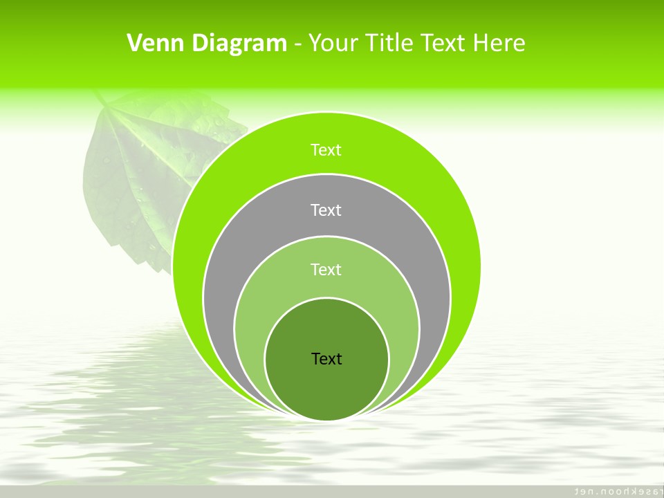 Senior Window Grandmother PowerPoint Template