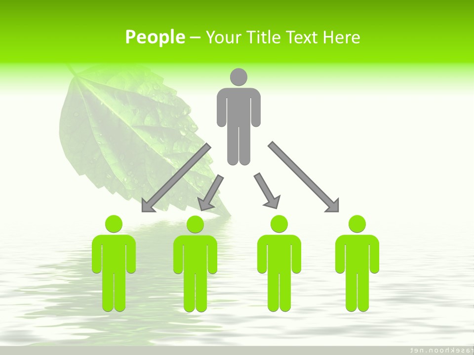 Senior Window Grandmother PowerPoint Template