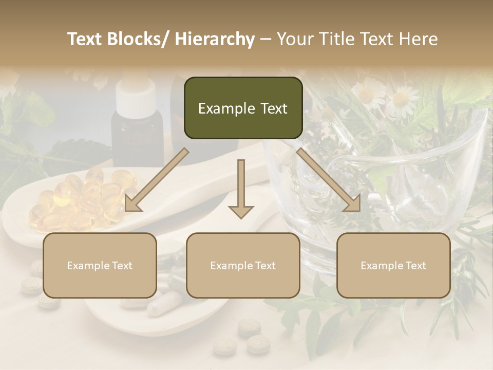 Pestle Health Care Herbal Supplement PowerPoint Template