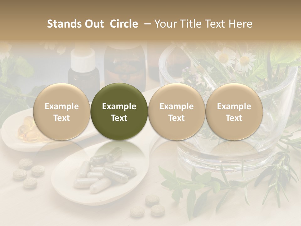 Pestle Health Care Herbal Supplement PowerPoint Template