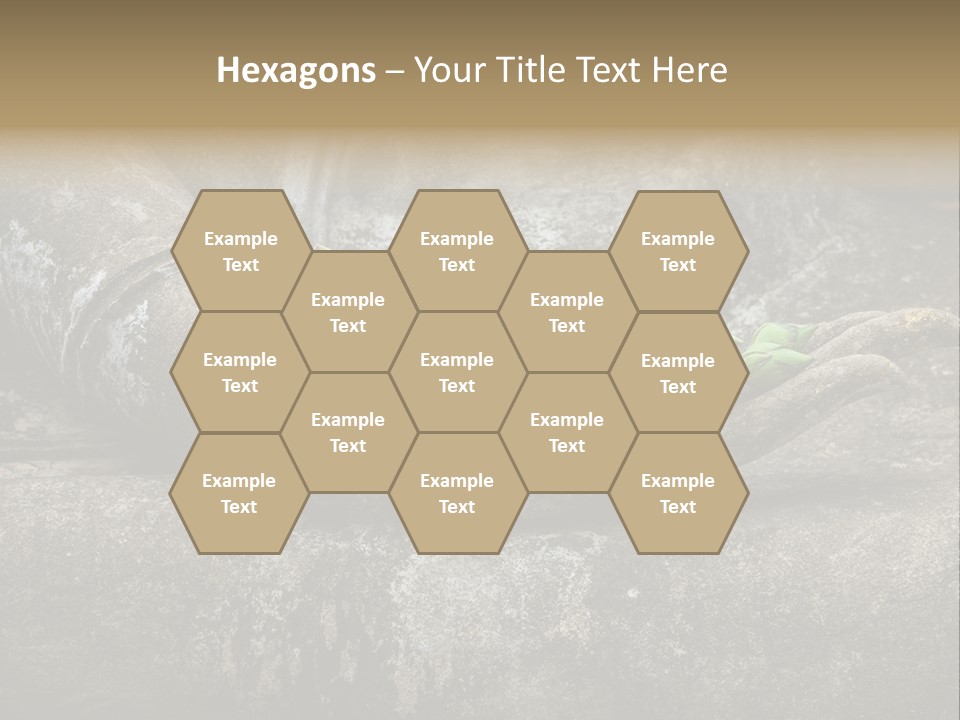 Prayer Peaceful Thailand PowerPoint Template