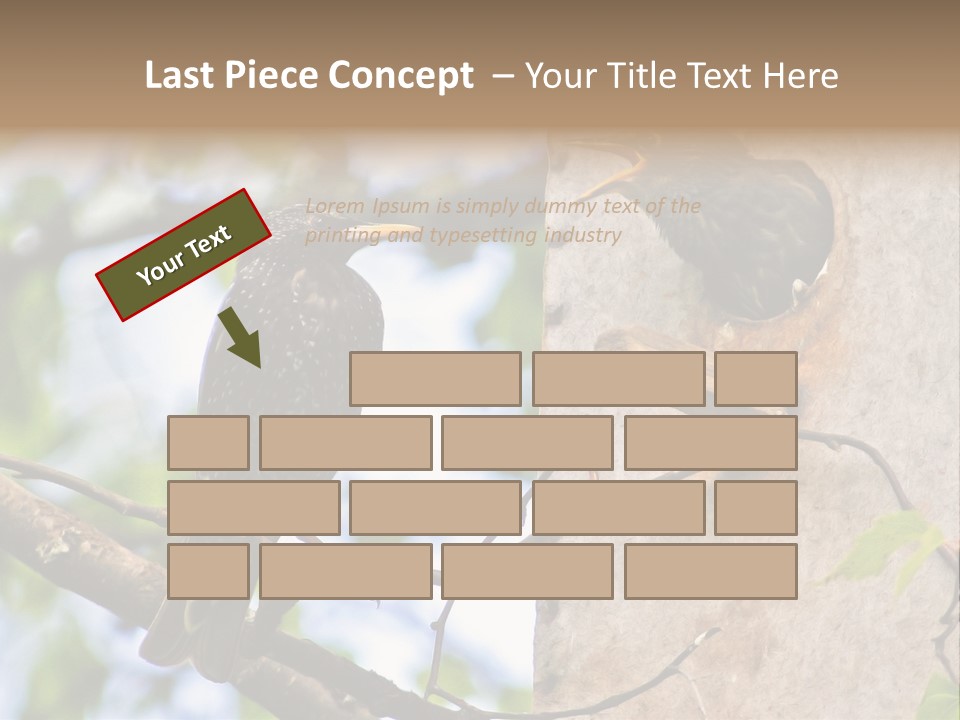 Make Angry Chick Shout At PowerPoint Template