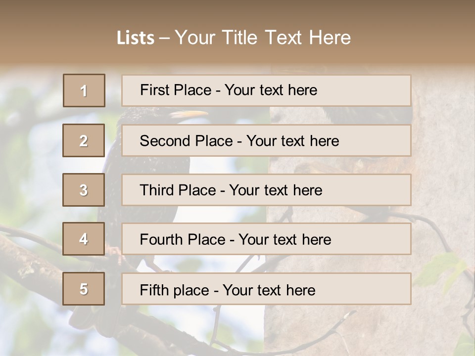Make Angry Chick Shout At PowerPoint Template