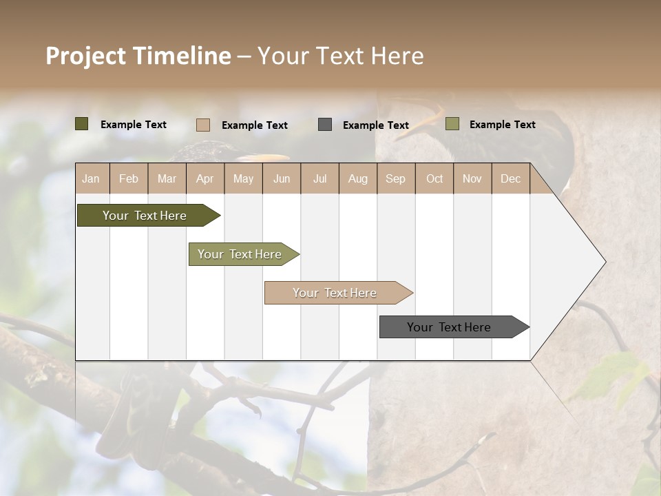 Make Angry Chick Shout At PowerPoint Template
