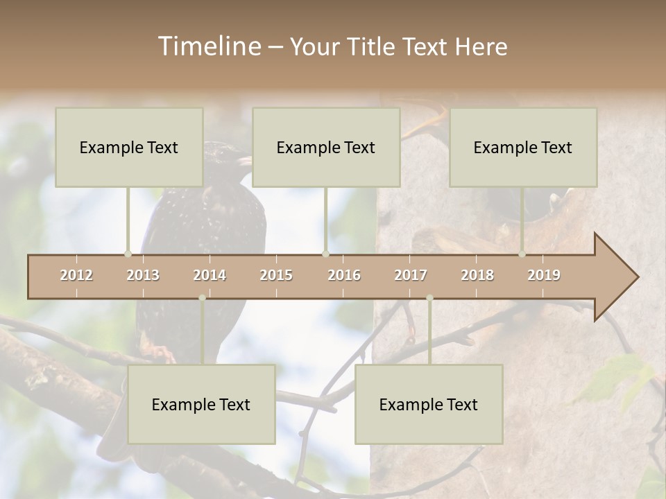 Make Angry Chick Shout At PowerPoint Template