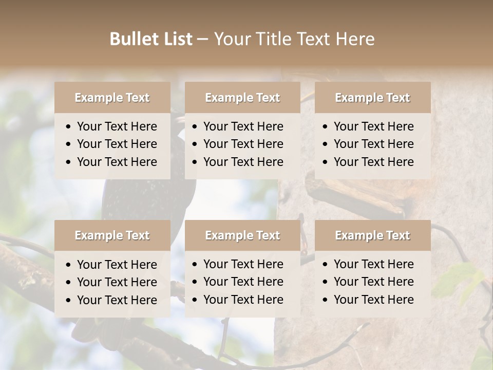 Make Angry Chick Shout At PowerPoint Template