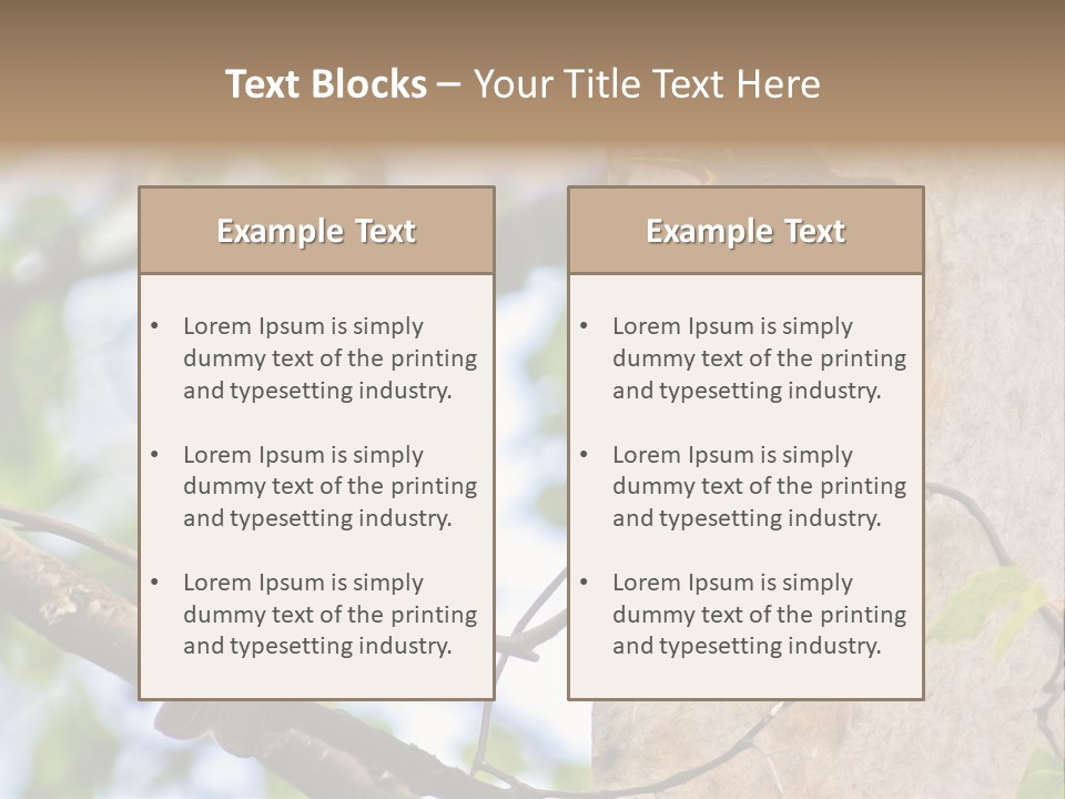 Make Angry Chick Shout At PowerPoint Template