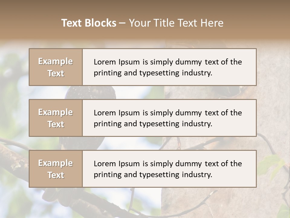 Make Angry Chick Shout At PowerPoint Template