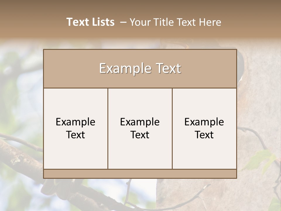 Make Angry Chick Shout At PowerPoint Template