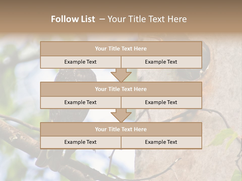 Make Angry Chick Shout At PowerPoint Template