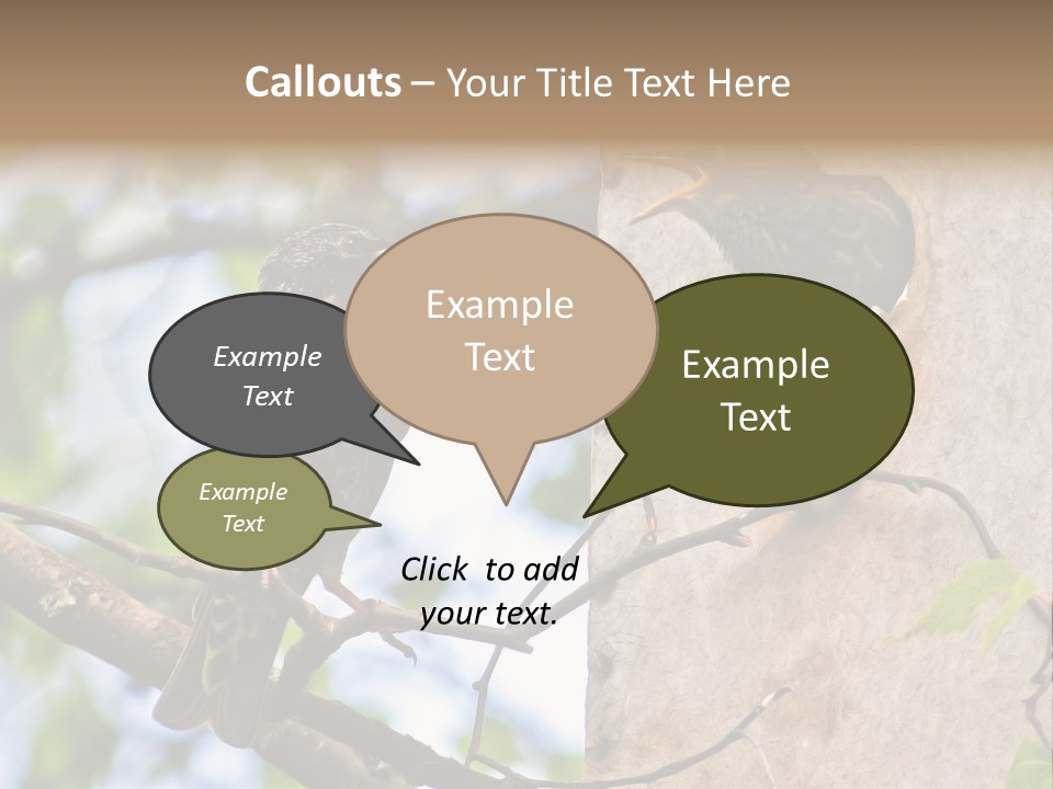 Make Angry Chick Shout At PowerPoint Template