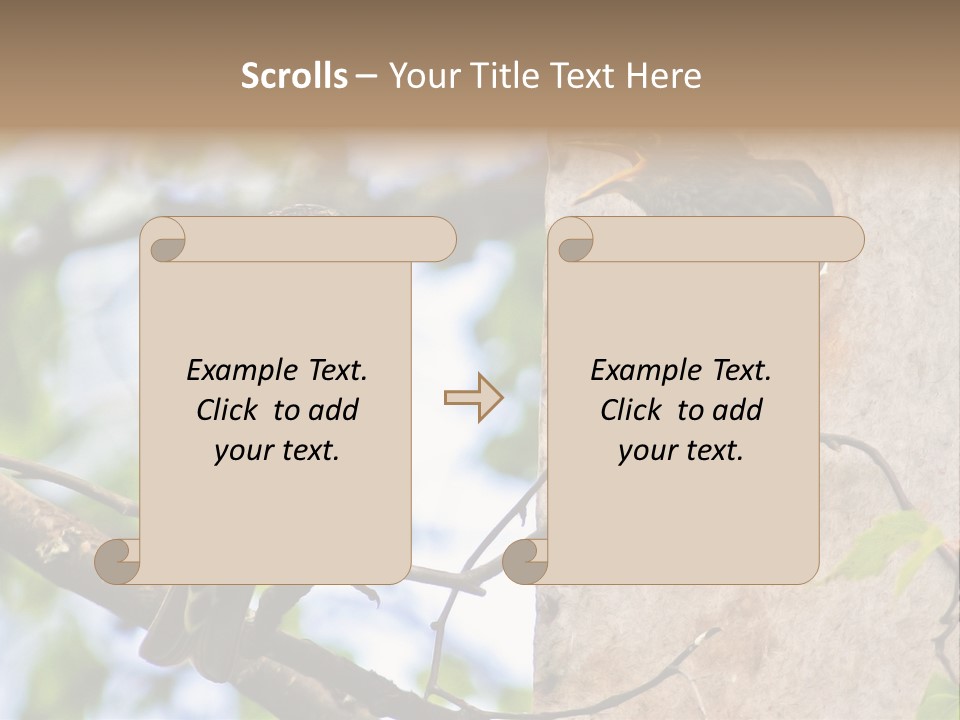 Make Angry Chick Shout At PowerPoint Template